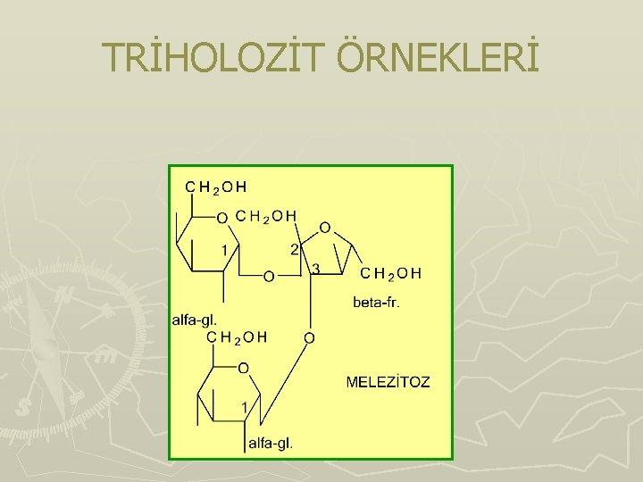 TRİHOLOZİT ÖRNEKLERİ 