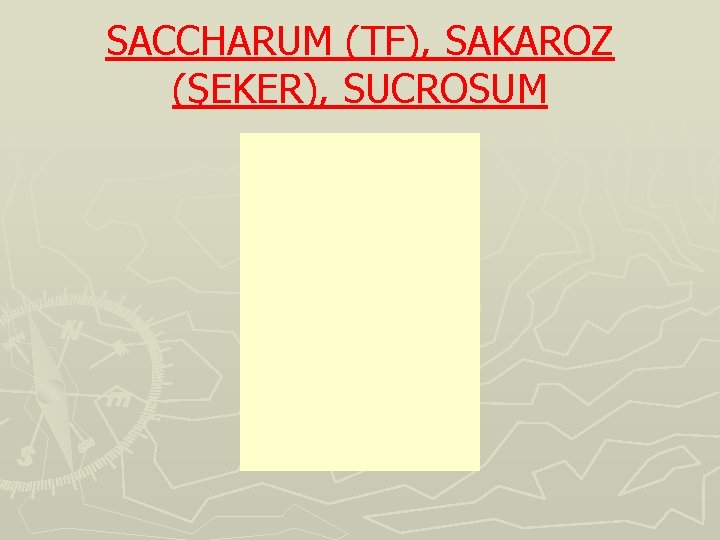 SACCHARUM (TF), SAKAROZ (ŞEKER), SUCROSUM 
