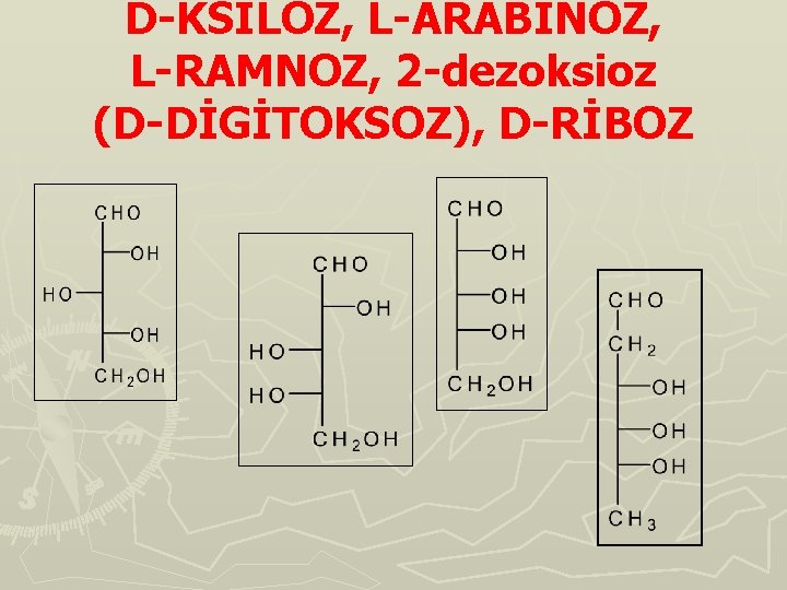D-KSİLOZ, L-ARABİNOZ, L-RAMNOZ, 2 -dezoksioz (D-DİGİTOKSOZ), D-RİBOZ 