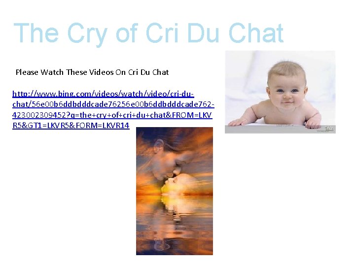 The Cry of Cri Du Chat Please Watch These Videos On Cri Du Chat