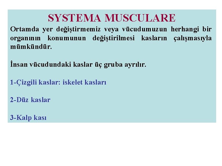 SYSTEMA MUSCULARE Ortamda yer değiştirmemiz veya vücudumuzun herhangi bir organının konumunun değiştirilmesi kasların çalışmasıyla