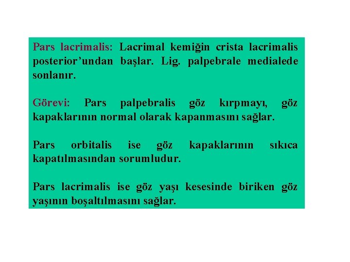 Pars lacrimalis: Lacrimal kemiğin crista lacrimalis posterior’undan başlar. Lig. palpebrale medialede sonlanır. Görevi: Pars