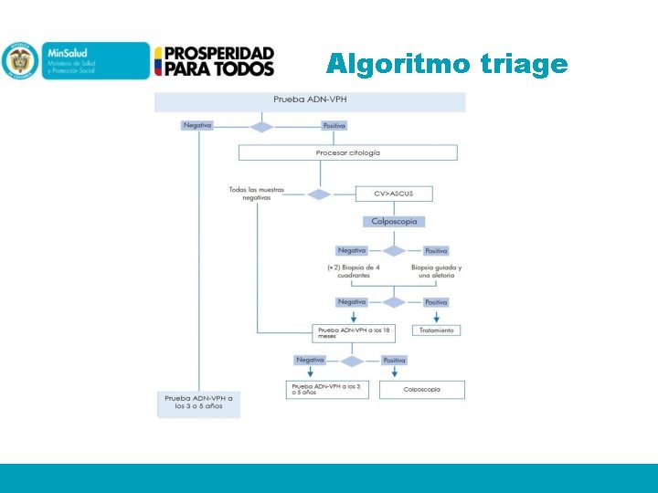 Algoritmo triage 