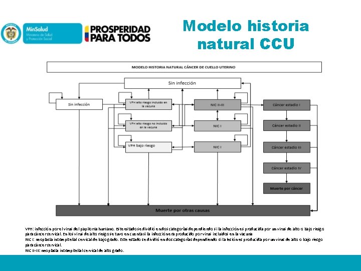 Modelo historia natural CCU VPH: infección por el virus del papiloma humano. Este estado