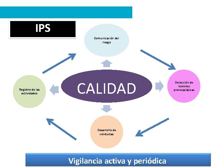 IPS Comunicación del riesgo Registro de las actividades CALIDAD Desarrollo de conductas Vigilancia activa