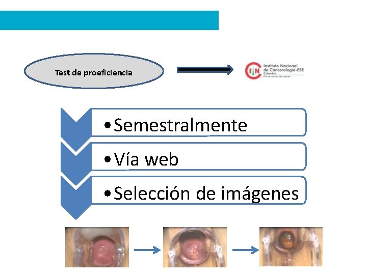 Test de proeficiencia • Semestralmente • Vía web • Selección de imágenes 