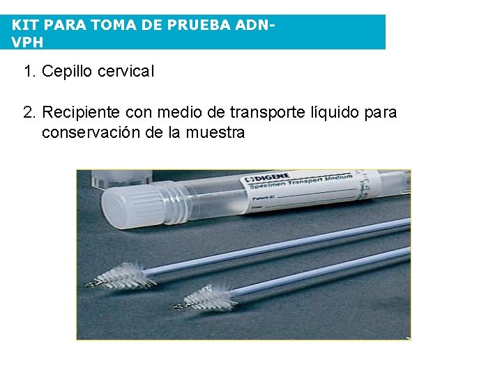 KIT PARA TOMA DE PRUEBA ADNVPH 1. Cepillo cervical 2. Recipiente con medio de