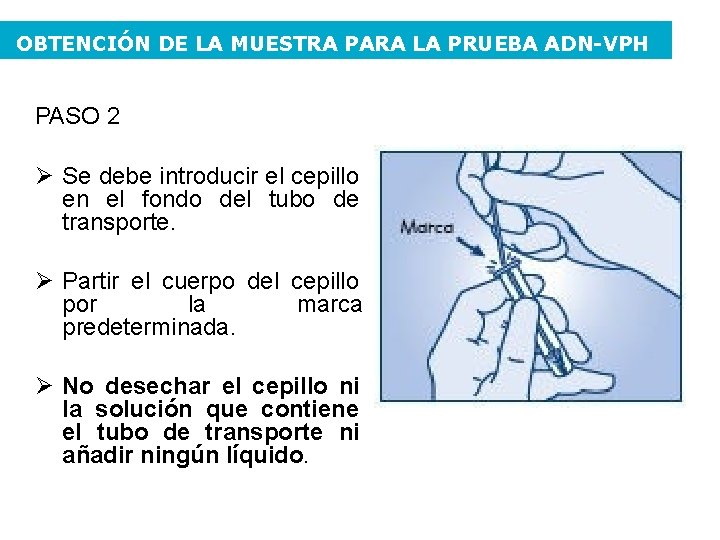 OBTENCIÓN DE LA MUESTRA PARA LA PRUEBA ADN-VPH PASO 2 Se debe introducir el