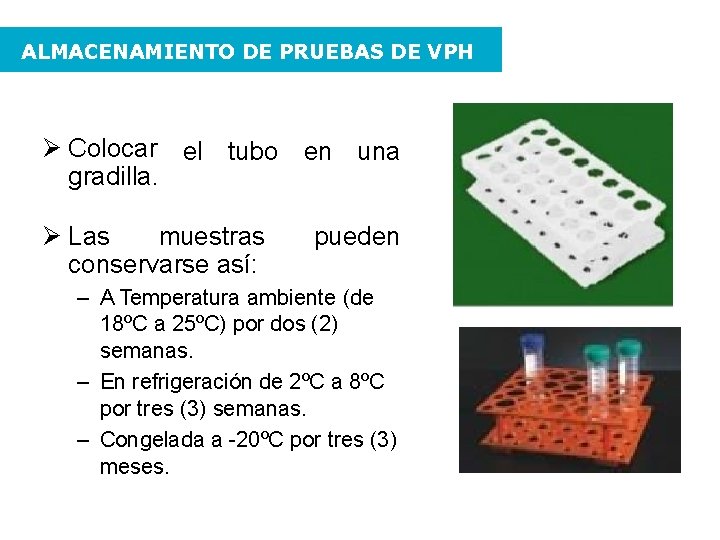 ALMACENAMIENTO DE PRUEBAS DE VPH Colocar el tubo en una gradilla. Las muestras conservarse