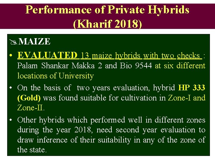 Performance of Private Hybrids (Kharif 2018) @MAIZE • EVALUATED 13 maize hybrids with two
