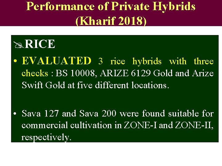 Performance of Private Hybrids (Kharif 2018) @RICE • EVALUATED 3 rice hybrids with three