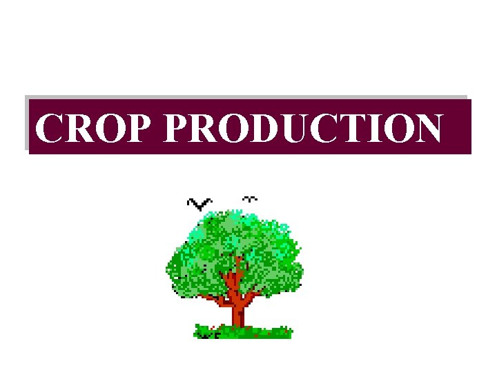 CROP PRODUCTION 