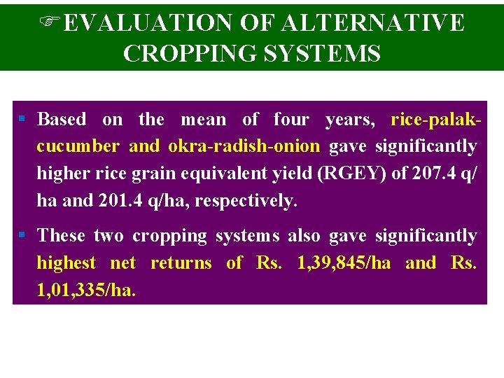 FEVALUATION OF ALTERNATIVE CROPPING SYSTEMS § Based on the mean of four years, rice-palakcucumber