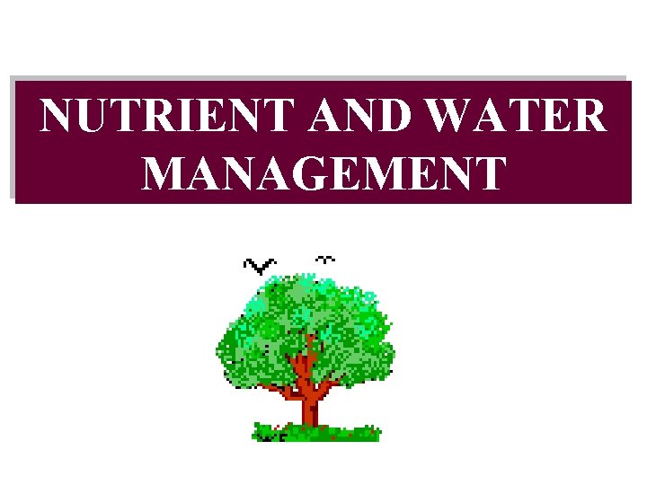NUTRIENT AND WATER MANAGEMENT 