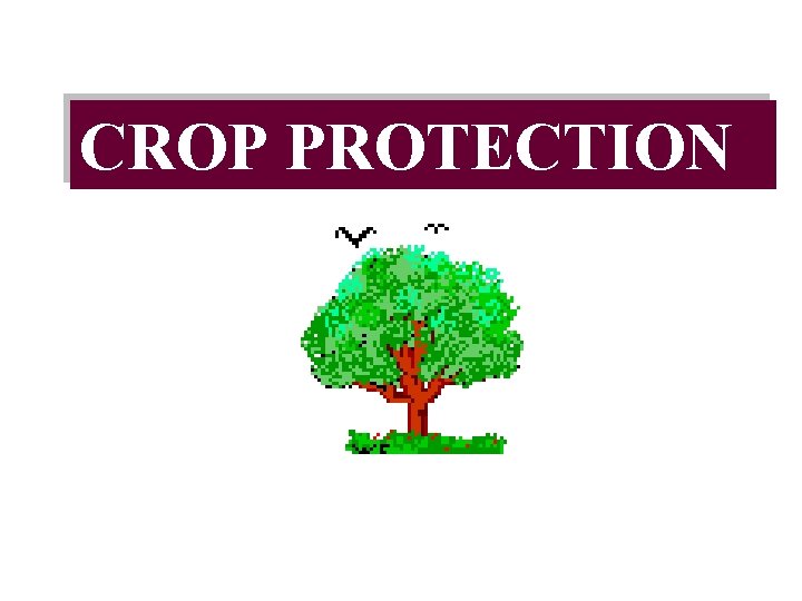 CROP PROTECTION 