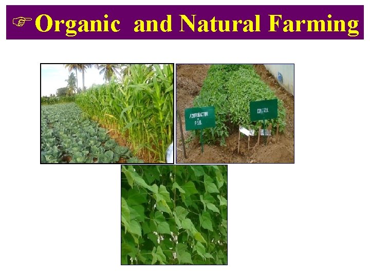 FOrganic and Natural Farming 