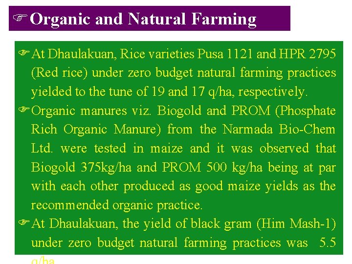 FOrganic and Natural Farming FAt Dhaulakuan, Rice varieties Pusa 1121 and HPR 2795 (Red