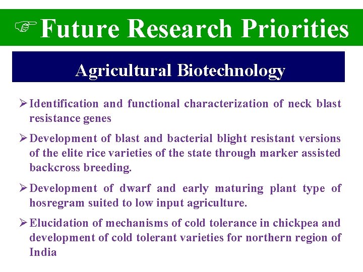 FFuture Research Priorities Agricultural Biotechnology Ø Identification and functional characterization of neck blast resistance