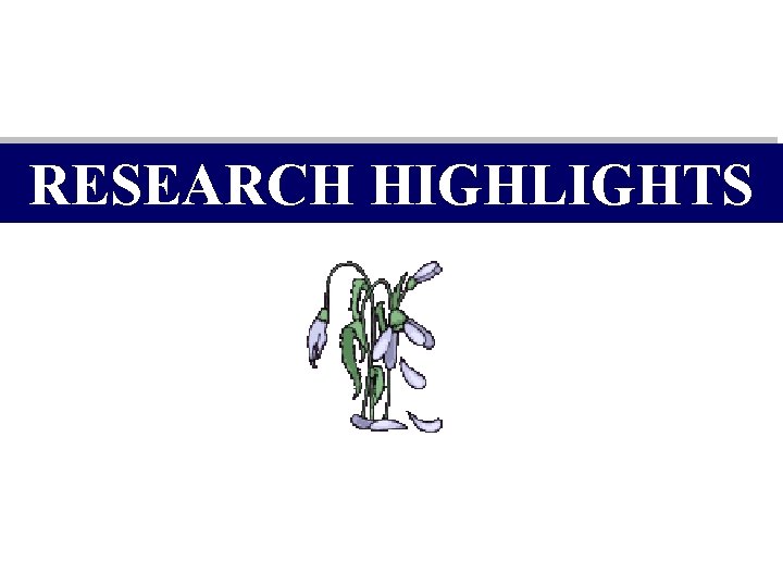 RESEARCH HIGHLIGHTS 