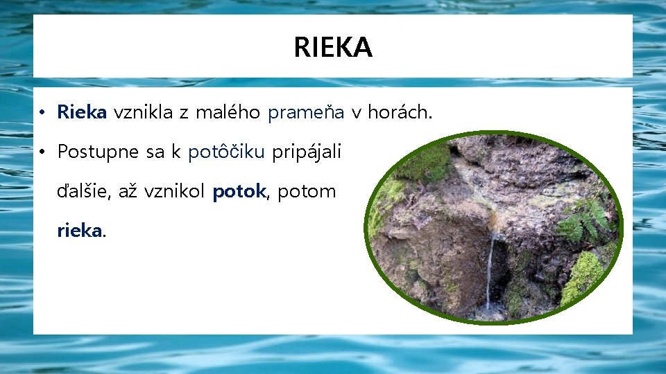 RIEKA • Rieka vznikla z malého prameňa v horách. • Postupne sa k potôčiku
