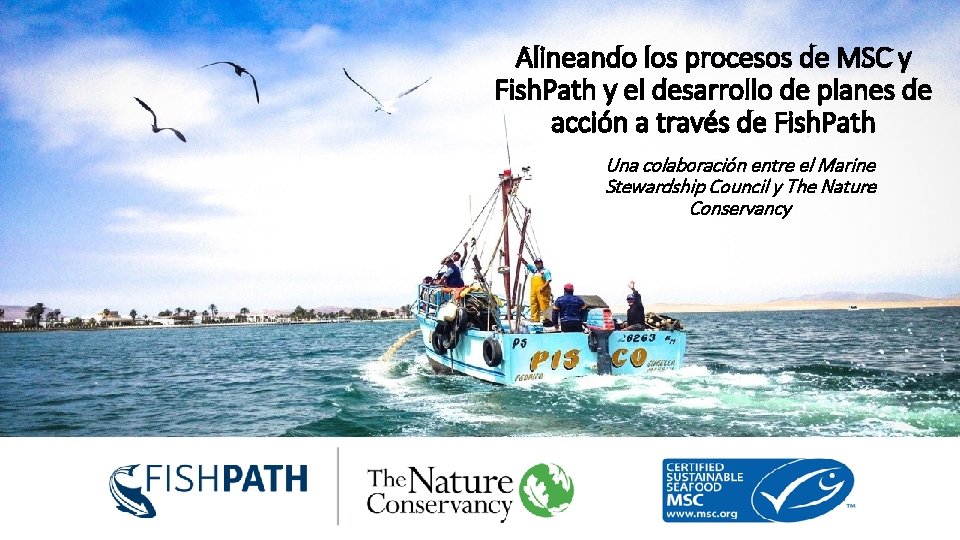 Alineando los procesos de MSC y Fish. Path y el desarrollo de planes de