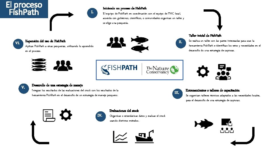 El proceso Fish. Path Iniciando un proceso de Fish. Path I. El equipo de