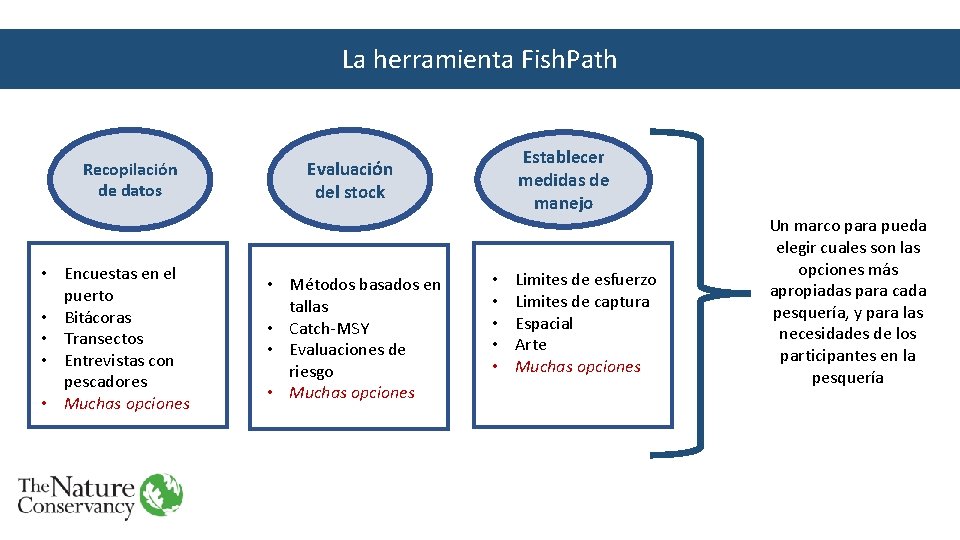 La herramienta Fish. Path Recopilación de datos • Encuestas en el puerto • Bitácoras