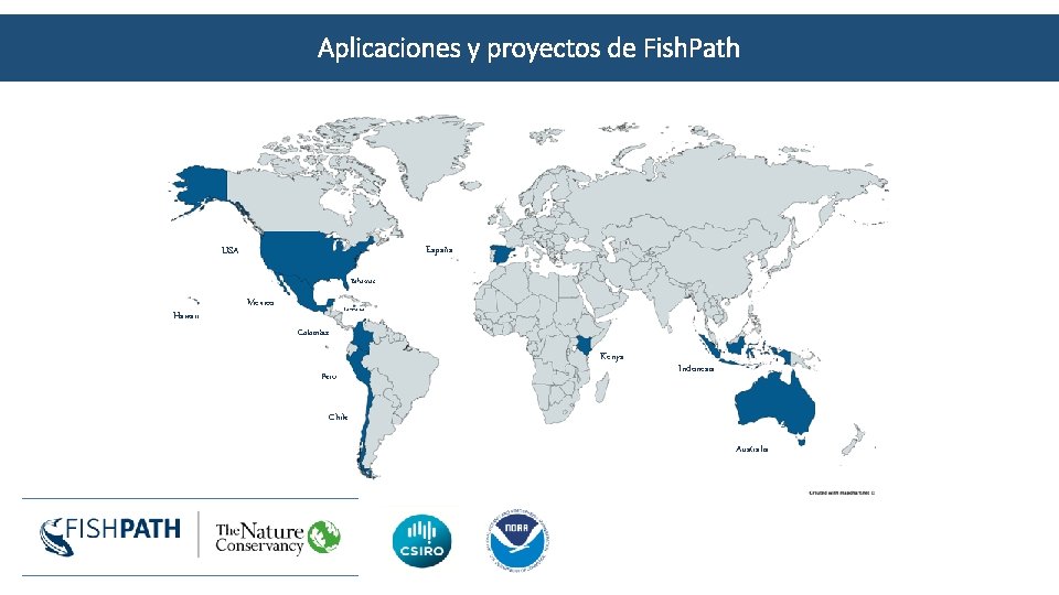 Aplicaciones y proyectos de Fish. Path España USA Bahamas Hawaii Mexico Jamaica Colombia Kenya