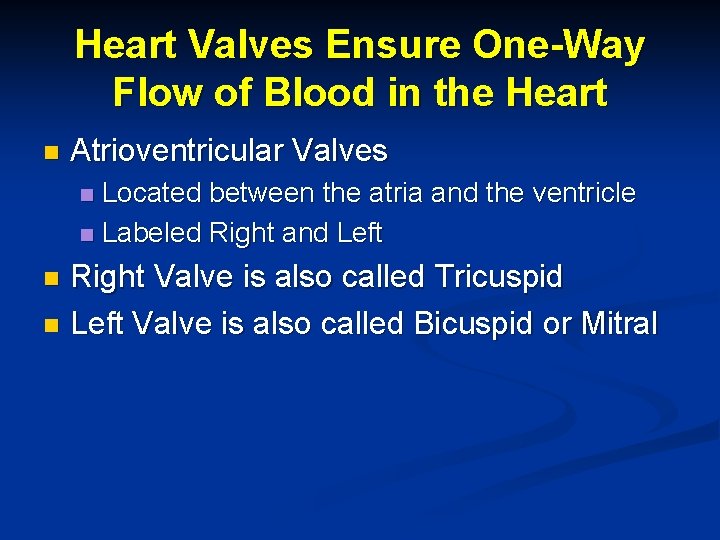 Heart Valves Ensure One-Way Flow of Blood in the Heart n Atrioventricular Valves Located