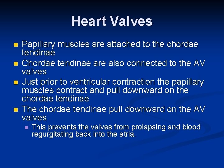 Heart Valves n n Papillary muscles are attached to the chordae tendinae Chordae tendinae