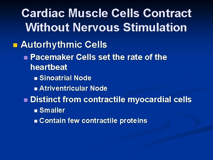 Cardiac Muscle Cells Contract Without Nervous Stimulation n Autorhythmic Cells n Pacemaker Cells set