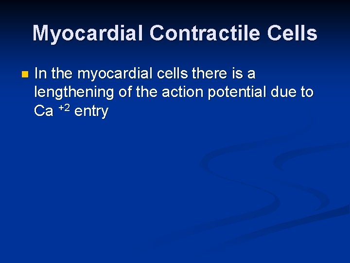 Myocardial Contractile Cells n In the myocardial cells there is a lengthening of the