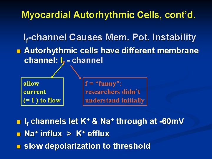 Myocardial Autorhythmic Cells, cont’d. If-channel Causes Mem. Pot. Instability n Autorhythmic cells have different