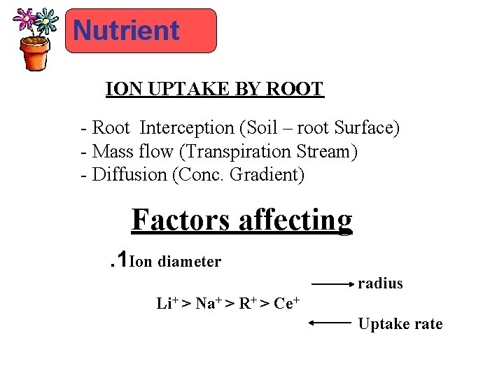 Nutrient ION UPTAKE BY ROOT - Root Interception (Soil – root Surface) - Mass
