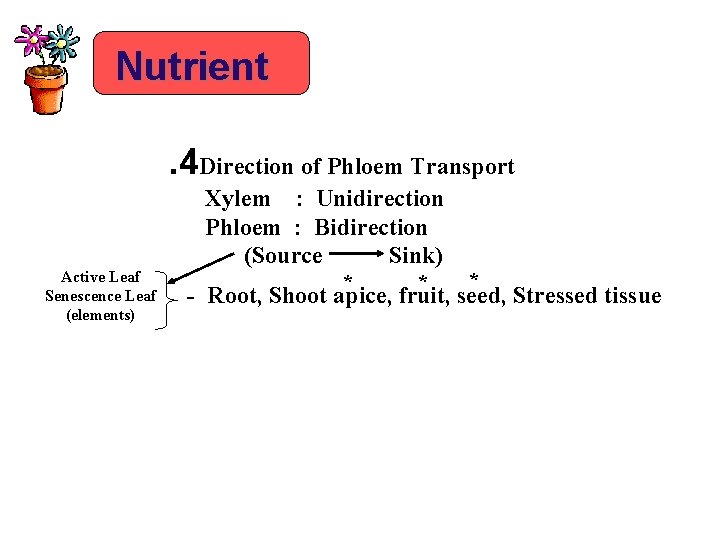 Nutrient. 4 Direction of Phloem Transport Active Leaf Senescence Leaf (elements) Xylem : Unidirection