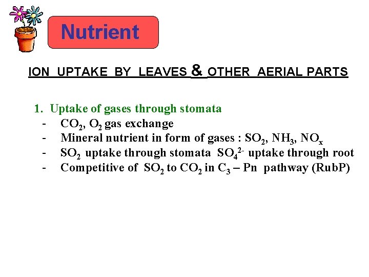 Nutrient ION UPTAKE BY LEAVES & OTHER AERIAL PARTS 1. Uptake of gases through