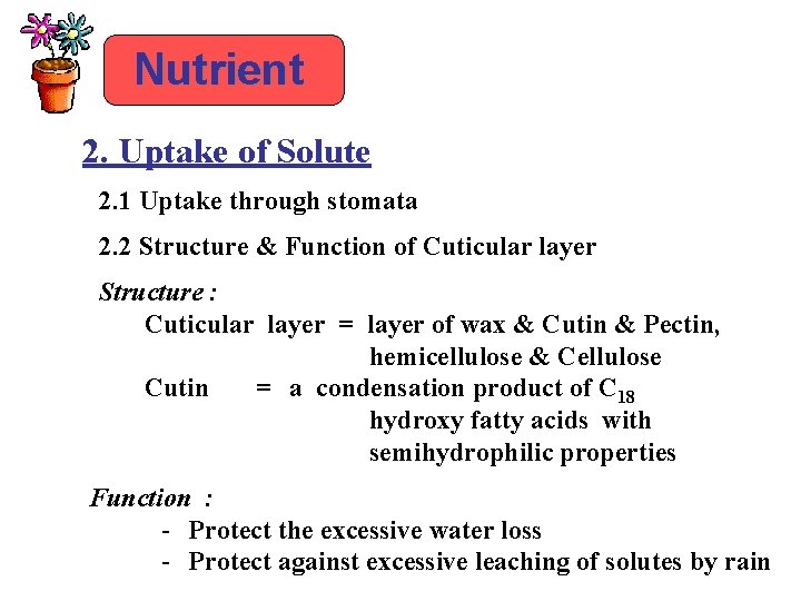 Nutrient 2. Uptake of Solute 2. 1 Uptake through stomata 2. 2 Structure &