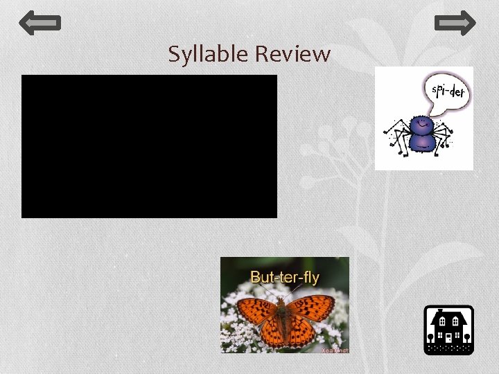 Syllable Review 