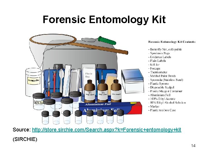 Forensic Entomology Kit Source: http: //store. sirchie. com/Search. aspx? k=Forensic+entomology+kit (SIRCHIE) 14 