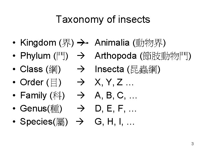 Taxonomy of insects • • Kingdom (界) Phylum (門) Class (綱) Order (目) Family