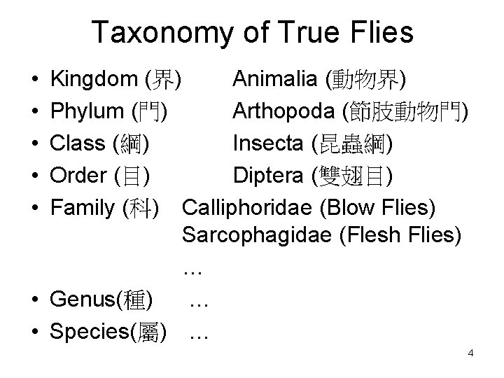 Taxonomy of True Flies • • • Kingdom (界) Animalia (動物界) Phylum (門) Arthopoda