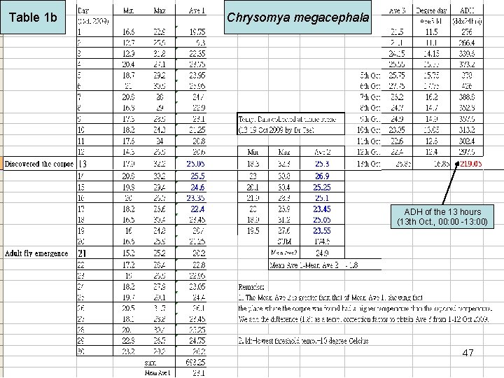 Table 1 b Chrysomya megacephala ADH of the 13 hours (13 th Oct. ,