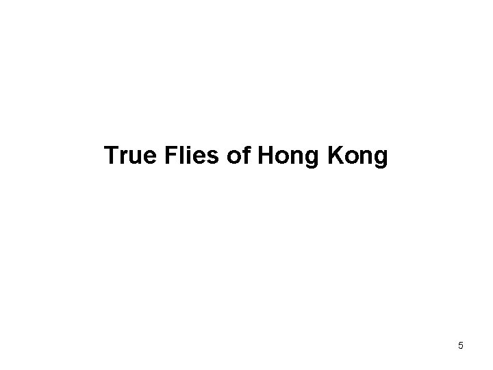 True Flies of Hong Kong 5 