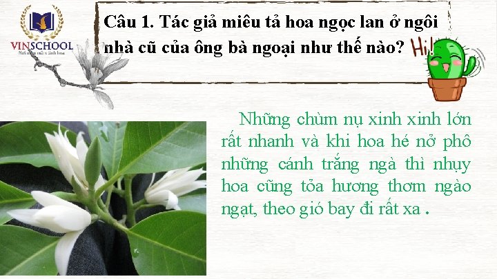 Câu 1. Tác giả miêu tả hoa ngọc lan ở ngôi nhà cũ của