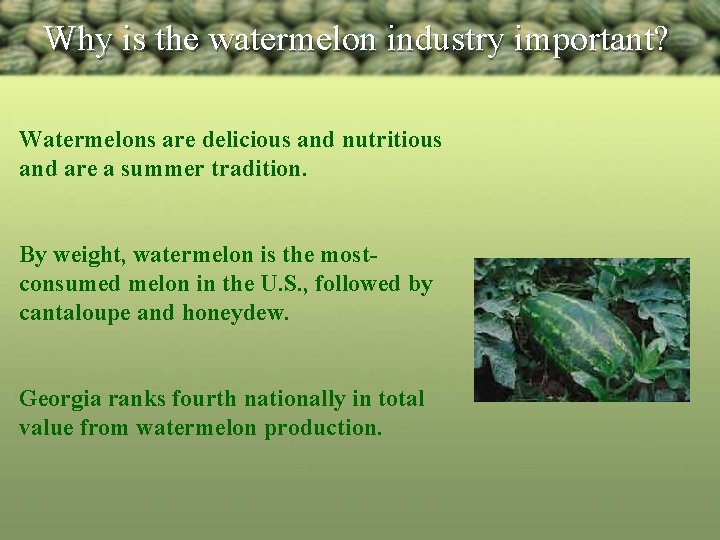 Why is the watermelon industry important? Watermelons are delicious and nutritious and are a