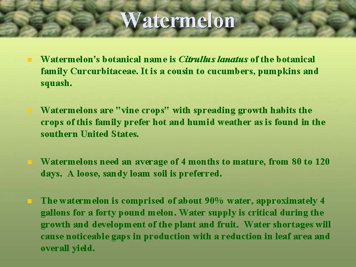 Watermelon n Watermelon's botanical name is Citrullus lanatus of the botanical family Curcurbitaceae. It