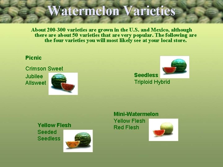 Watermelon Varieties About 200 -300 varieties are grown in the U. S. and Mexico,