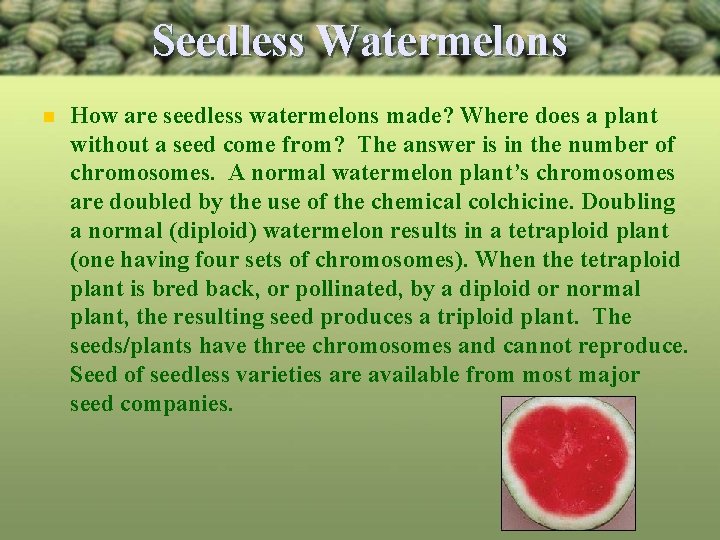 Seedless Watermelons n How are seedless watermelons made? Where does a plant without a