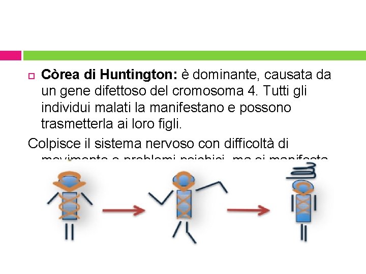 Còrea di Huntington: è dominante, causata da un gene difettoso del cromosoma 4. Tutti