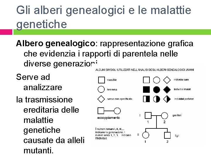 Gli alberi genealogici e le malattie genetiche Albero genealogico: rappresentazione grafica che evidenzia i